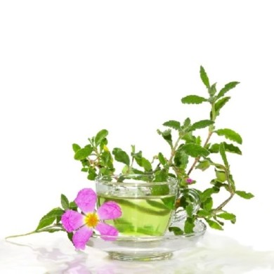 Cistus herb