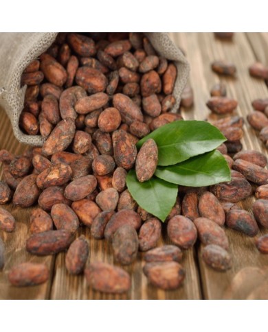 Cocoa beans Trinitario Madagaskar
