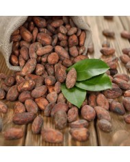 Unroasted cocoa beans Akesson Brazílie Forastero Raw