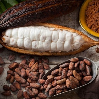 Nepražené kakaové boby Akesson Brazílie Forastero