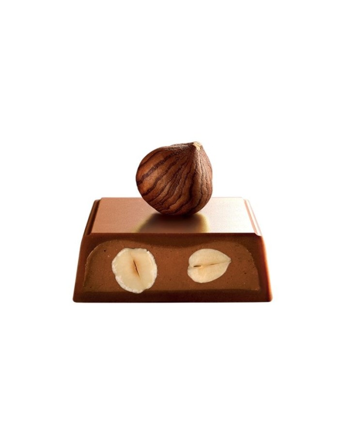 J.Galler - Milk chocolate Noisettes Lait