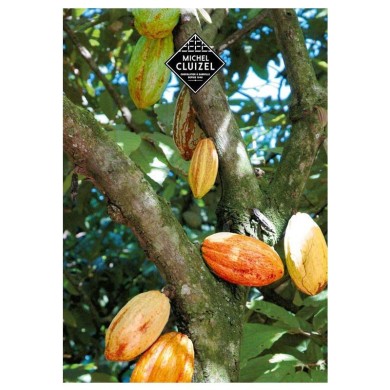 M.Cluizel Grand Cru Guayas 70% Grué de Cacao Bio
