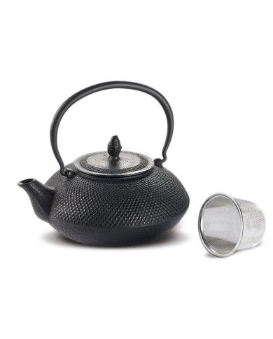 Iron Teapot “Nangang”