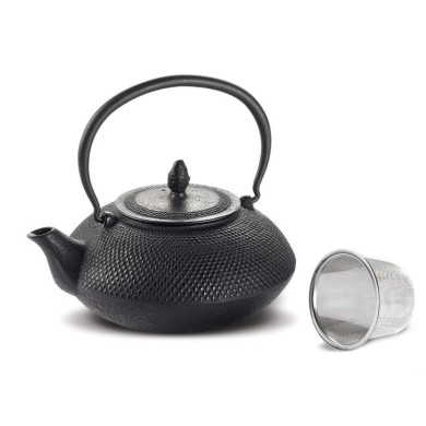Iron Teapot “Nangang”