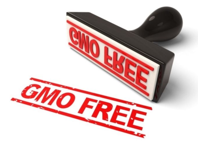 GMO free